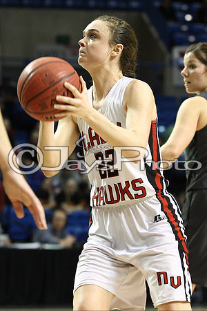 Nemo Vista vs. Wonderview 1A Girls State Finals 3-12-2015 (©Justin Manning) JWM_219