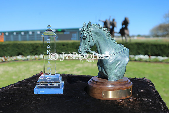 z220319_WhitmoreStakesday_Manning_0099
