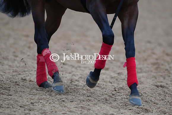 z250104_SmartyJonesStakesDay _JWM_0087
