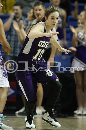 Riverview vs. Ozark 4A Girls State Finals 3-13-2015 (©Justin Manning) JWM_141