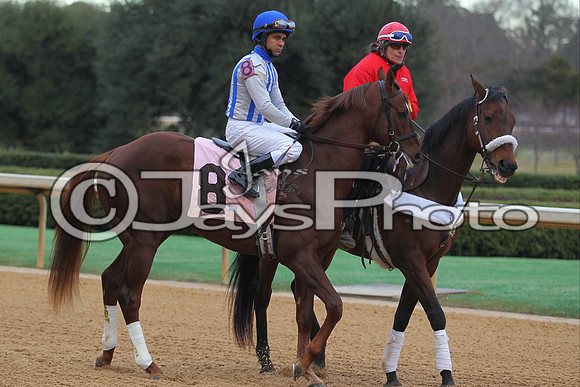Oaklawn Smarty Jones Stakes 1-18-2016 (©Justin Manning) JWM_(0269