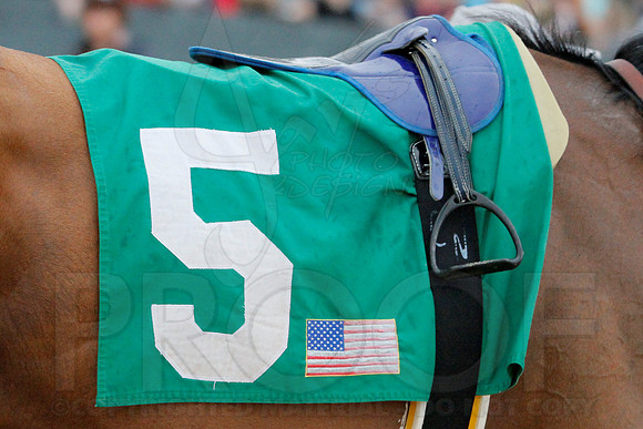 Rebel Stakes 3-15-14 3-15-2014 (© Justin Manning) JWM_0342