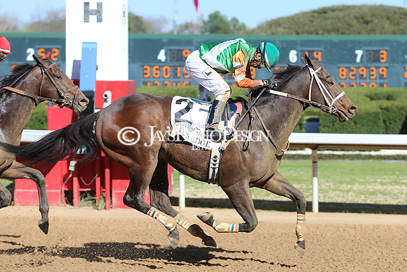 z220319_WhitmoreStakesday_Manning_0460