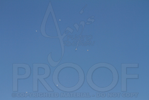 LR Air Show (Blue Angels) 9-9-12 (Justin Manning)0287