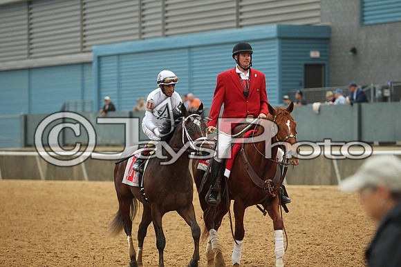 Southwest Stakes (GradeIII) 2-20-17_JWM00975