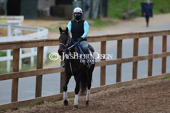 z250104_SmartyJonesStakesDay _JWM_0115