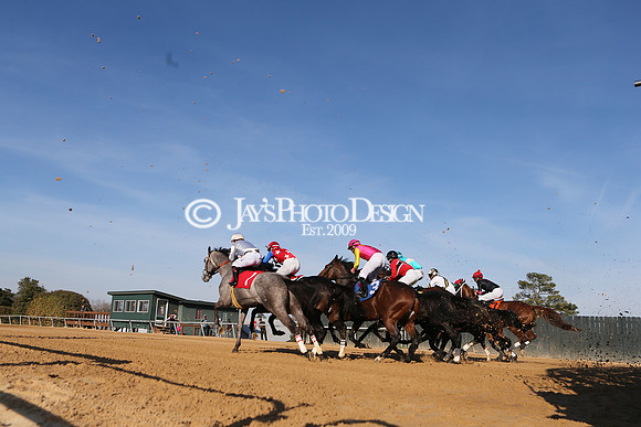 z210306_Honeybee Stakes_Manning_0964
