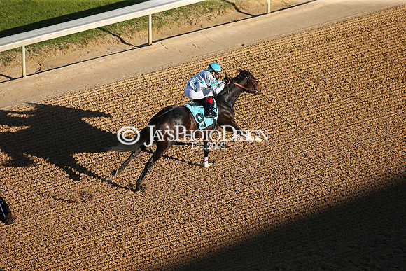 z210306_Honeybee Stakes_Manning_0349