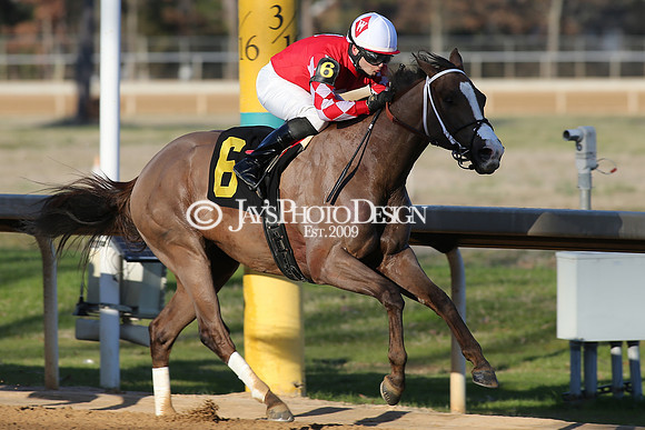 z210306_Honeybee Stakes_Manning_1033
