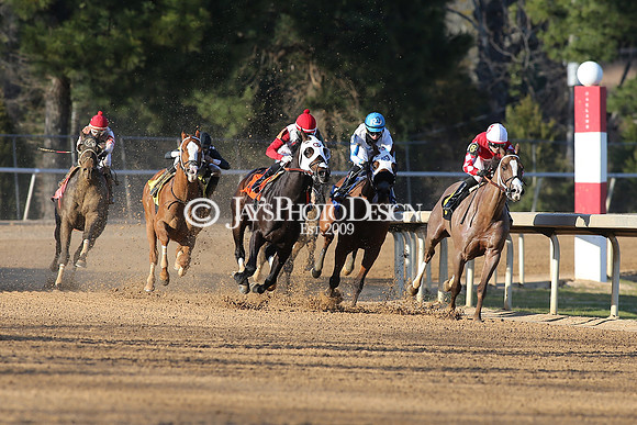 z210306_Honeybee Stakes_Manning_1020