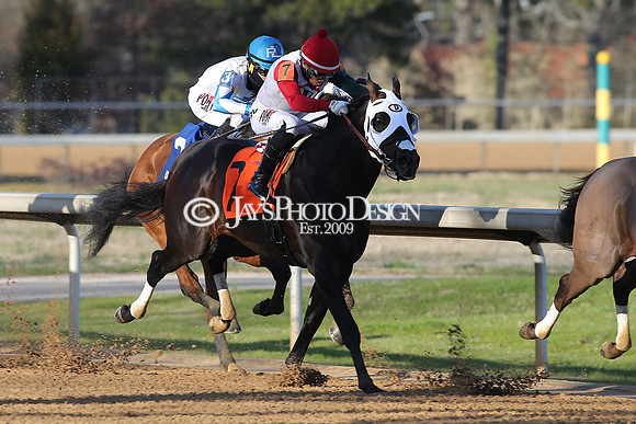 z210306_Honeybee Stakes_Manning_1030