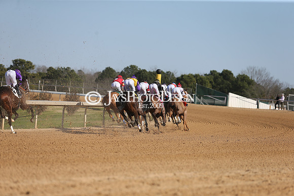 z210306_Honeybee Stakes_Manning_0251