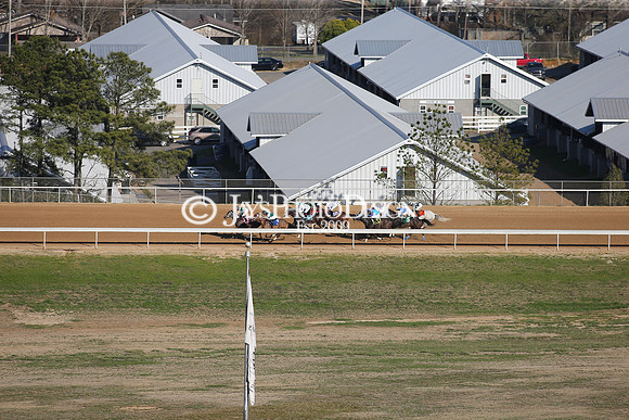z210306_Honeybee Stakes_Manning_0319