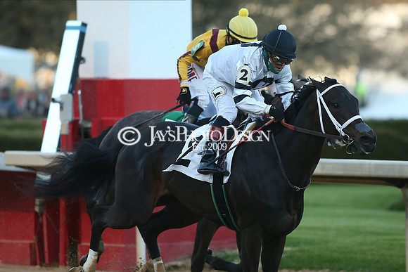 z210306_Honeybee Stakes_Manning_0775