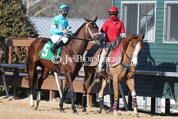 z210306_Honeybee Stakes_Manning_0955