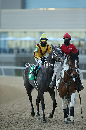 z210306_Honeybee Stakes_Manning_0665