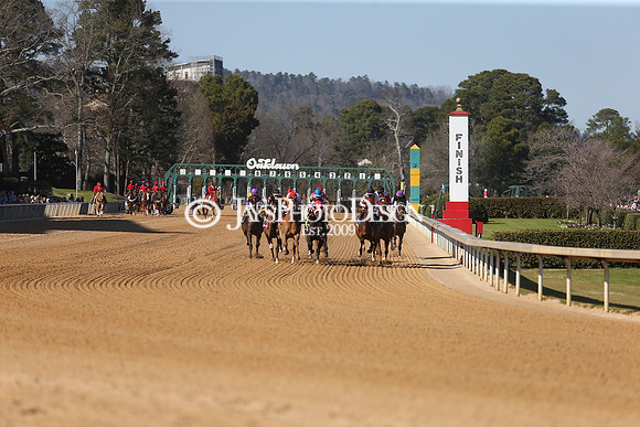 z210306_Honeybee Stakes_Manning_0213