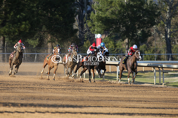 z210306_Honeybee Stakes_Manning_1025