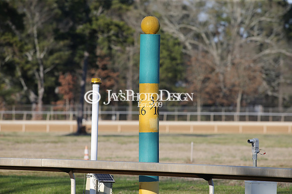 z210306_Honeybee Stakes_Manning_0986