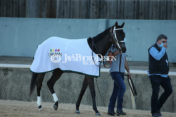 z210306_Honeybee Stakes_Manning_0499