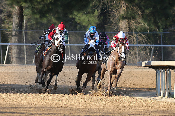 z210306_Honeybee Stakes_Manning_1015