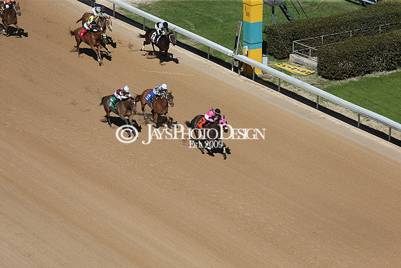 z210306_Honeybee Stakes_Manning_0041