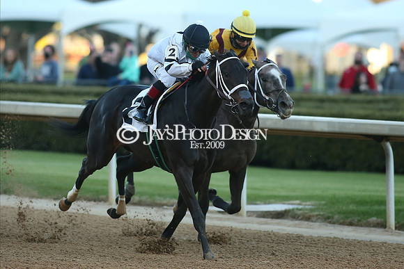 z210306_Honeybee Stakes_Manning_0768