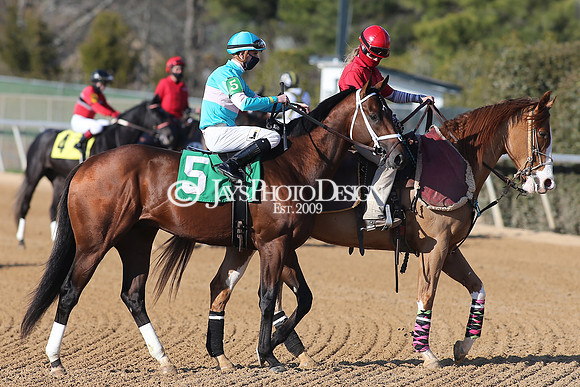 z210306_Honeybee Stakes_Manning_0948