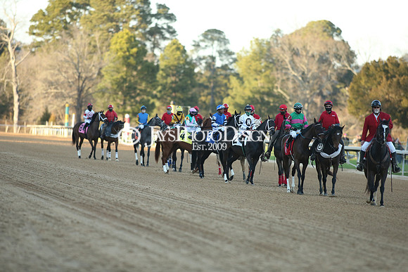 z210306_Honeybee Stakes_Manning_0583