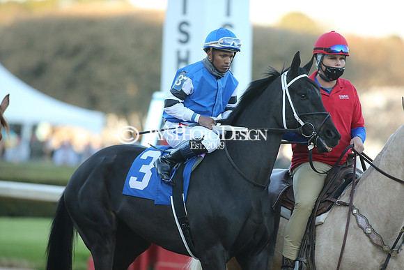 z210306_Honeybee Stakes_Manning_0622