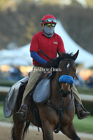 z210306_Honeybee Stakes_Manning_0732