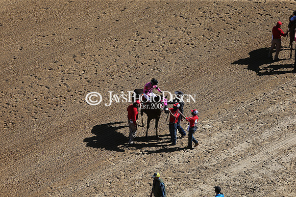z210306_Honeybee Stakes_Manning_0104