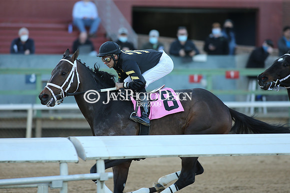 z210306_Honeybee Stakes_Manning_0405