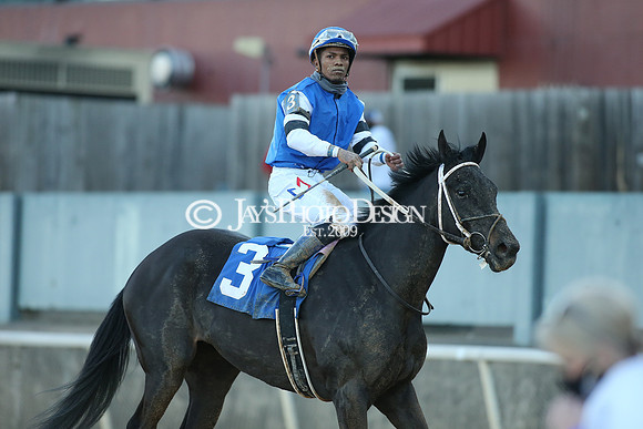 z210306_Honeybee Stakes_Manning_0786