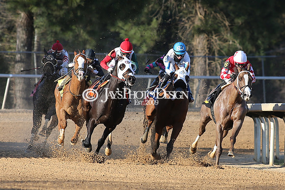 z210306_Honeybee Stakes_Manning_1019