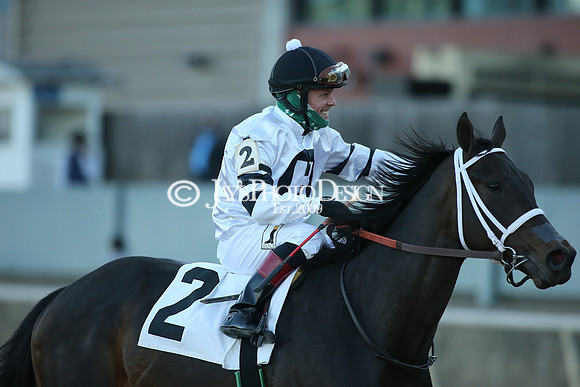 z210306_Honeybee Stakes_Manning_0815