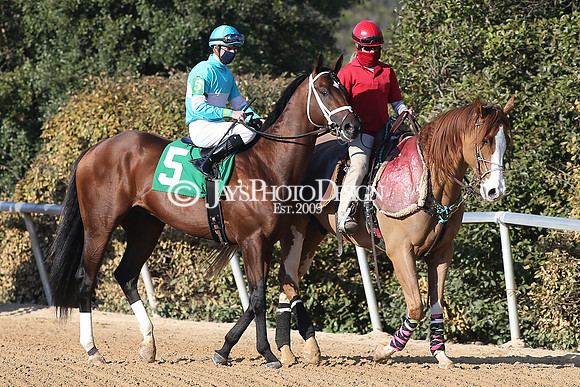 z210306_Honeybee Stakes_Manning_0950