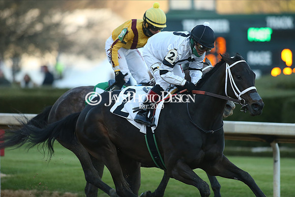 z210306_Honeybee Stakes_Manning_0777