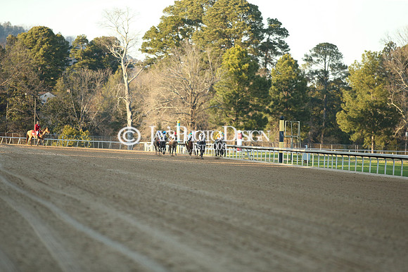 z210306_Honeybee Stakes_Manning_0735