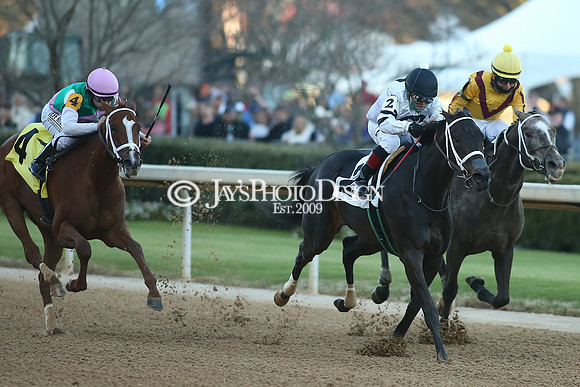z210306_Honeybee Stakes_Manning_0766