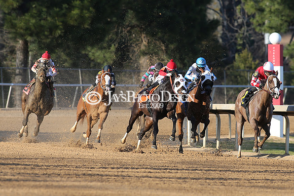 z210306_Honeybee Stakes_Manning_1022