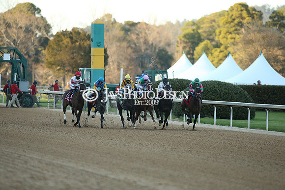 z210306_Honeybee Stakes_Manning_0697