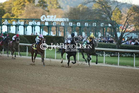 z210306_Honeybee Stakes_Manning_0764