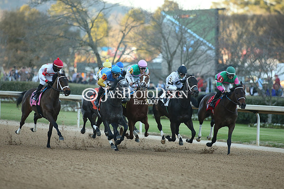 z210306_Honeybee Stakes_Manning_0707