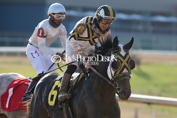 z210306_Honeybee Stakes_Manning_0976