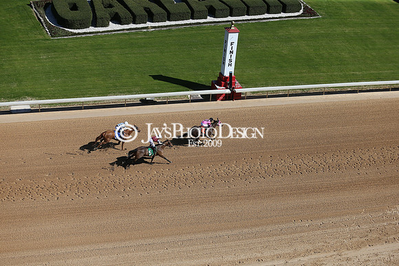z210306_Honeybee Stakes_Manning_0062