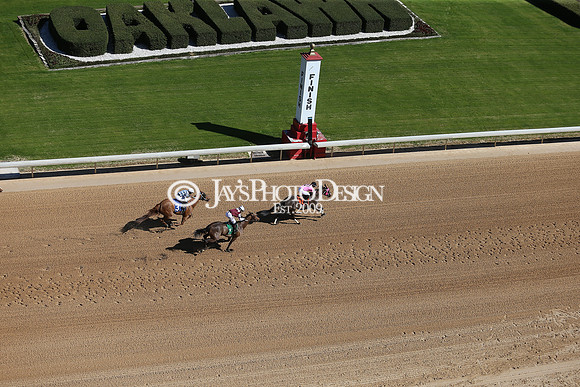 z210306_Honeybee Stakes_Manning_0063