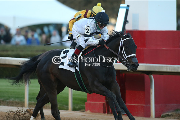 z210306_Honeybee Stakes_Manning_0773