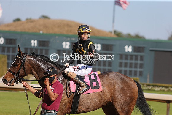 z210306_Honeybee Stakes_Manning_0292