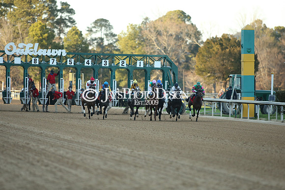 z210306_Honeybee Stakes_Manning_0696